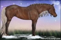 Horse Color:Silver Brown