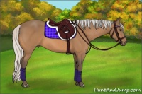 Horse Color:Silver Buckskin 