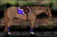 Horse Color:Red Roan 