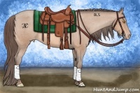 Horse Color:Sable Champagne Appaloosa 