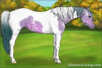 Horse Color:Watercolor Brown Ice Tobiano 