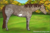 Horse Color:Chestnut Ice Frame