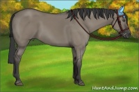 Horse Color:Smoky Grullo