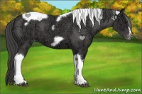 Horse Color:Black Ice Tobiano Frame Appaloosa