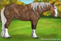 Horse Color:Silver Bay Ice Splash 