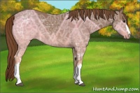 Horse Color:Chestnut Ice 