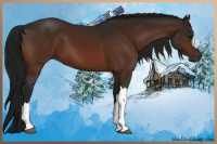 Horse Color:Gray Bay