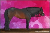 Horse Color:Brown 