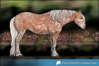 Horse Color:Silver Bay Ice 