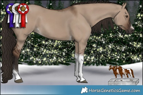 Horse Color:Liver Red Dun Tobiano 