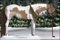 Horse Color:Liver Red Dun Tobiano 