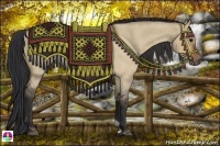 Horse Color:Bay Roan Dun 