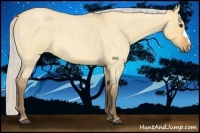 Horse Color:Silver Bay Roan Dun 