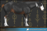 Horse Color:Gray White Spotted Liver Chestnut 