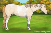 Horse Color:Buckskin Roan Pearl Tobiano and Buckskin Roan Pearl Tobiano