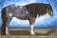 Horse Color:Black  and Classic Champagne 