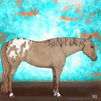 Horse Color:Red Dun Appaloosa Rabicano Brindle 