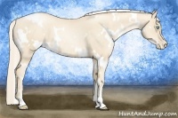 Horse Color:White Spotted Gold Cream Champagne Pearl