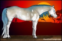 Horse Color:Watercolor Brown Onyx Splash