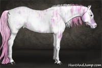 Horse Color:Watercolor White Spotted Bay Ice Onyx