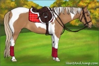 Horse Color:Chestnut Tobiano 