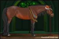 Horse Color:Bay Rabicano 