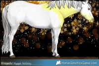 Horse Color:White Spotted Bay Ice Dun Splash and White Spotted Bay Ice Dun Splash