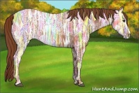 Horse Color:Chestnut Ice 