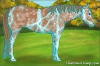 Horse Color:Thunderstruck Red Ice Roan 