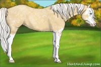 Horse Color:Silver Classic Cream Champagne Ice Splash 