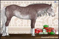 Horse Color:Chocolate Silver Black Chinchilla Splash 