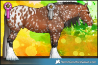 Horse Color:Bay Blanket 