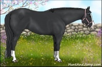 Horse Color:Black Splash 