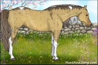 Horse Color:Chocolate Palomino Dun Tobiano 