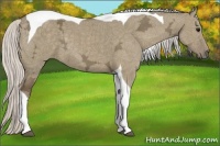 Horse Color:Silver Smoky Grullo Ice Tobiano 