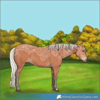 Horse Color:Silver Brown Ice 
