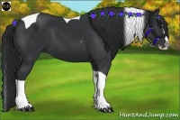 Horse Color:Black Splash Tobiano 