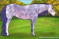 Horse Color:Watercolor Buckskin Ice 