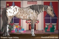 Horse Color:Brown Dun Near Leopard  and Bay Dun Blanket 