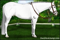 Horse Color:Black Fewspot 
