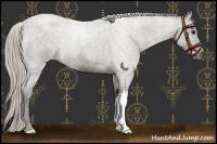 Horse Color:Silver Blue Roan 