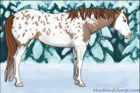 Horse Color:Red Roan Splash Blanket 