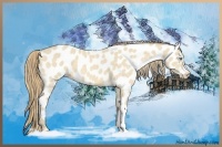 Horse Color:Perlino Dun Appaloosa Brindle 