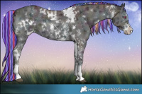 Horse Color:Painted White Spotted Midnight Silver Blue Onyx Chinchilla Ice Sabino 