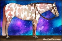 Horse Color:Brown Pearl Dun Near Leopard Rabicano 