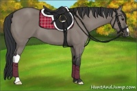 Horse Color:Grullo 