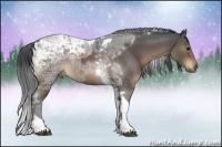 Horse Color:Brown Ice Tobiano Rabicano