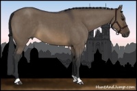 Horse Color:Brown Roan Dun 