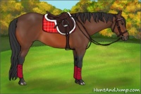 Horse Color:Bay Rabicano 