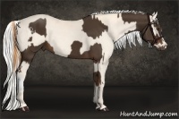 Horse Color:Liver Chestnut and Silver Perlino